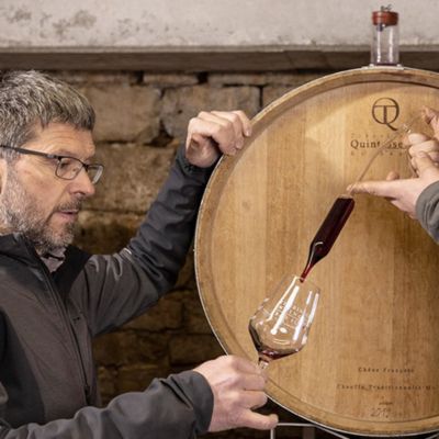Vorschaubild: 08.10.2026 | Thüringer Weingut Bad Sulza
